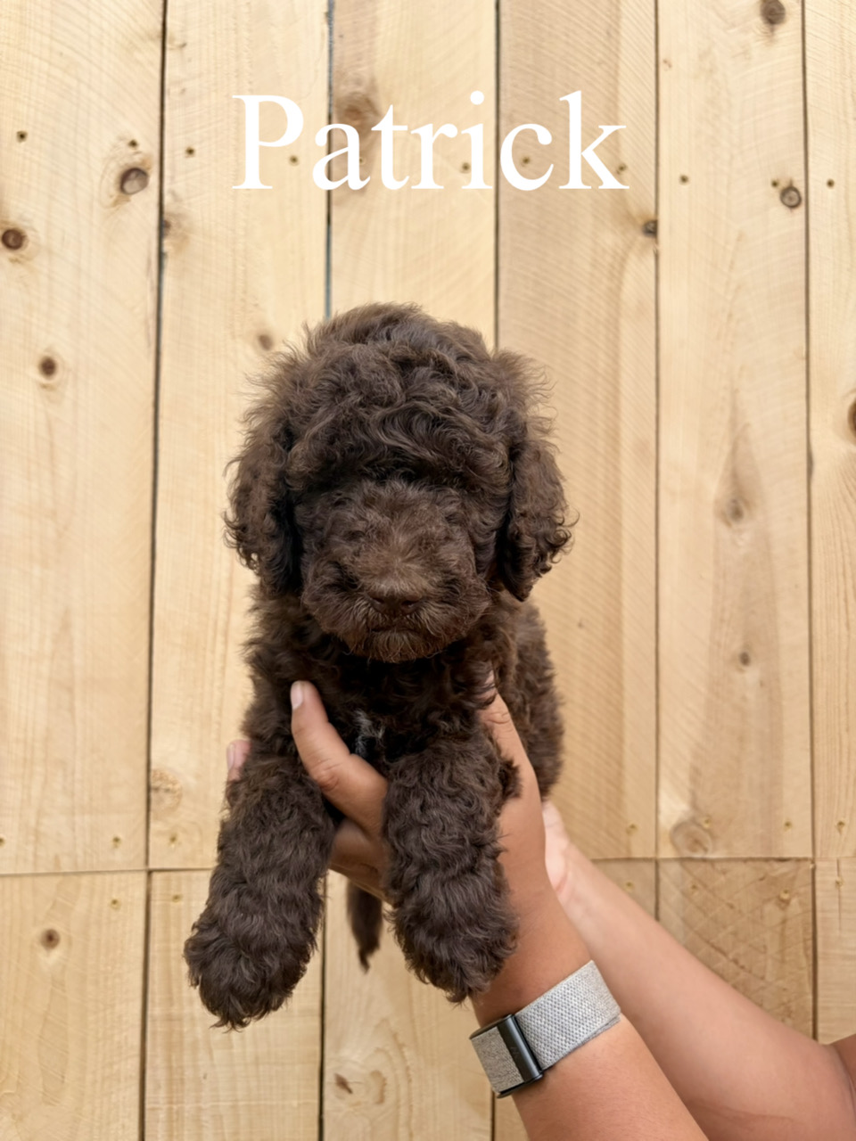 Patrick 1